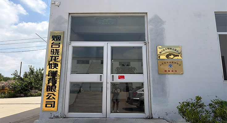 公司介绍